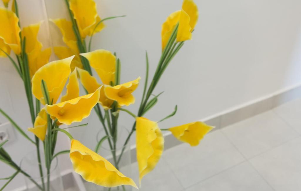 Apartmani Nika Ντουμπρόβνικ Δωμάτιο φωτογραφία